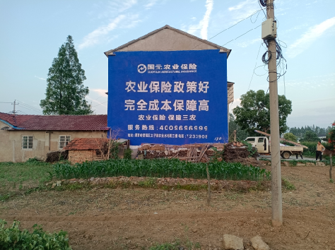 柞水墙体广告为何受追捧？